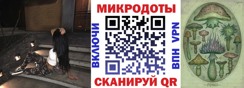 Галлюциногенные грибы Psilocybe  купить  сайты  Заволжье 