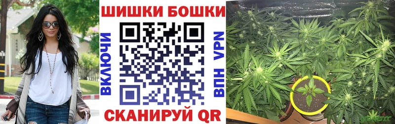 как найти закладки  Заволжье  Конопля Bruce Banner 